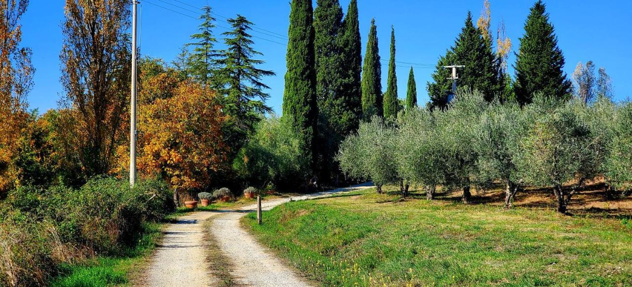 Вілла La Volpaia 1521 Barberino Val d'Elsa Екстер'єр фото