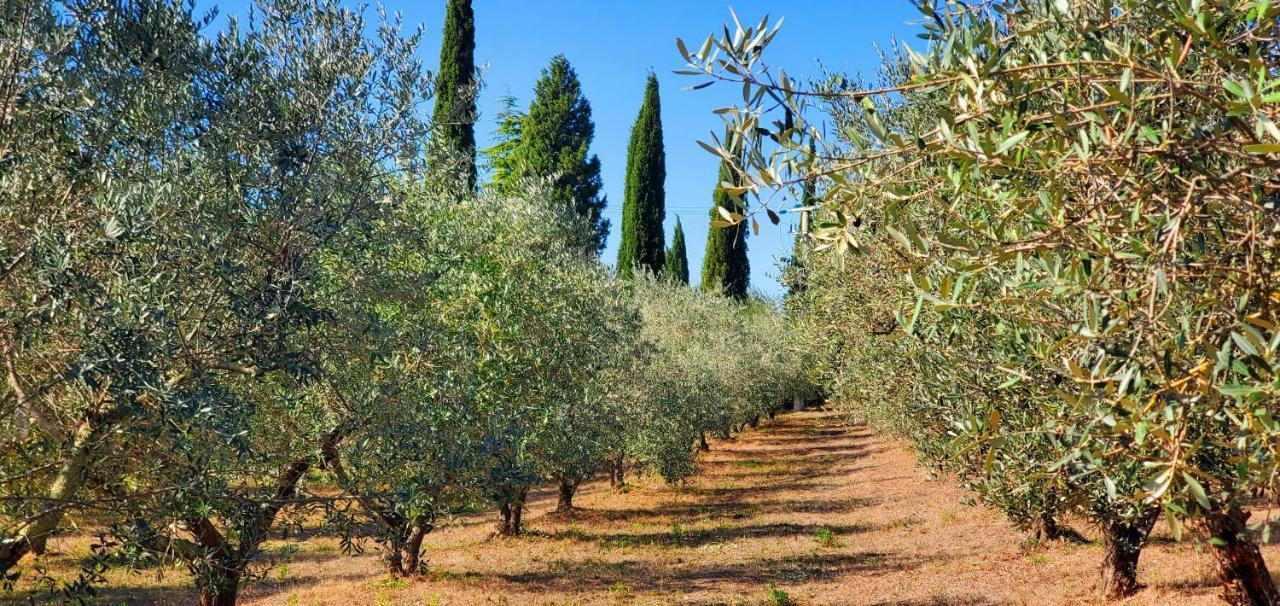 Вілла La Volpaia 1521 Barberino Val d'Elsa Екстер'єр фото