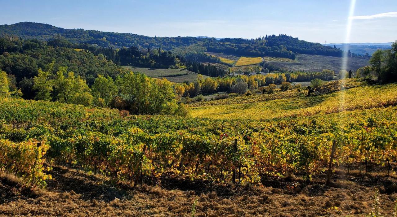 Вілла La Volpaia 1521 Barberino Val d'Elsa Екстер'єр фото