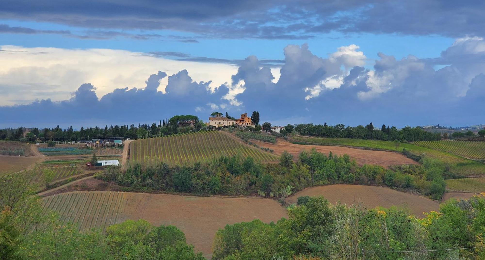 Вілла La Volpaia 1521 Barberino Val d'Elsa Екстер'єр фото